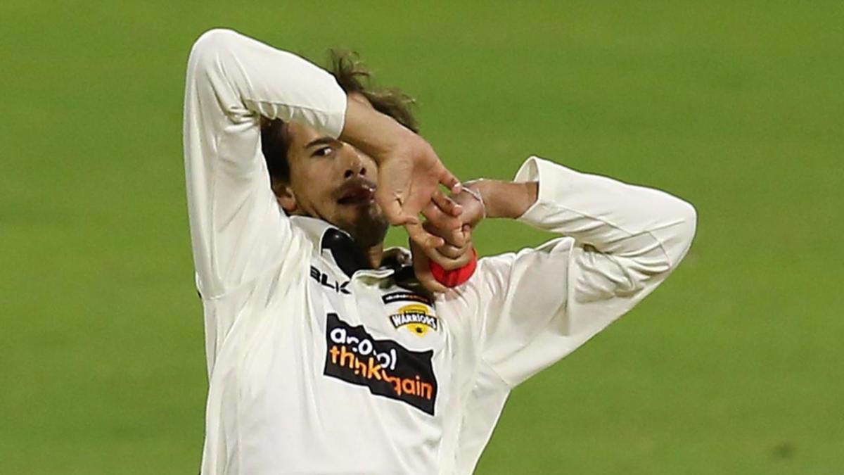 Ashton Agar to Tour India, but 2 Spinners Not Guaranteed